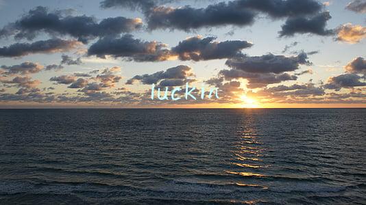 luckin