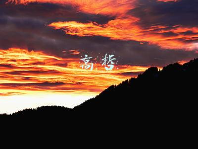 高哲