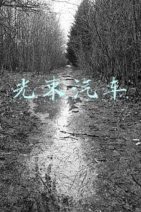 光束汽车