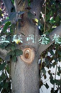 互联网套餐