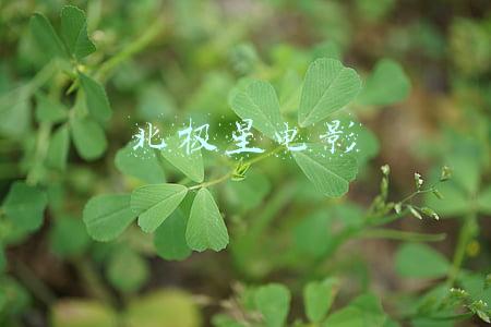 北极星电影
