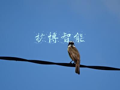 扩博智能