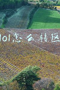 lol怎么转区