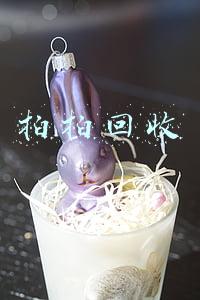 拍拍回收