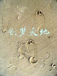 创梦天地