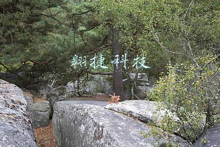 翱捷科技