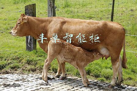 丰巢智能柜怎么收费(4月30日起，丰巢快递柜要收费了，0.5元起步3元封顶)