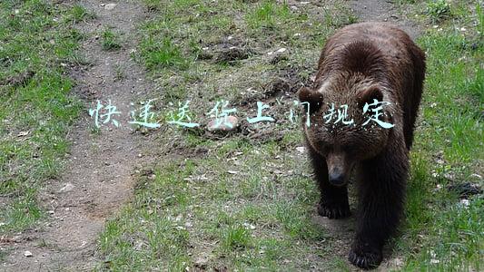 邮政快递送货上门规定(快递不送货上门？国家邮政局：拟规定擅自将快递投至快递箱最高罚3万)