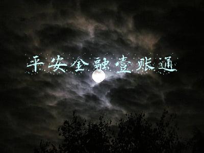平安金融壹账通