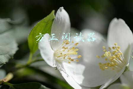 方正阅读器