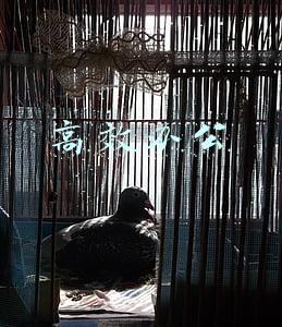 高效办公