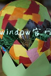 window官网