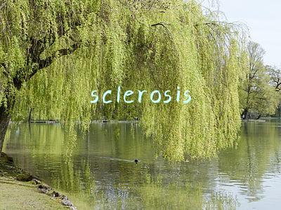 sclerosis