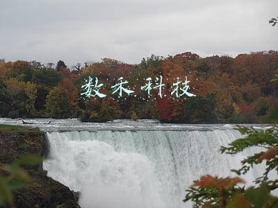 数禾科技