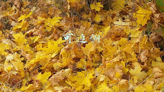 可追溯体系(产品数字化追溯系统，全产业追溯方案)