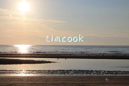 timcook