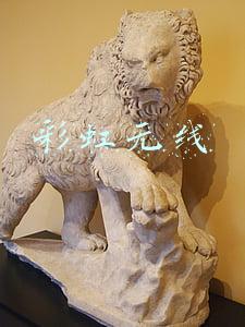 彩虹无线