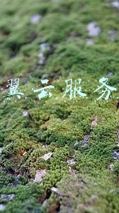 天翼云服务器