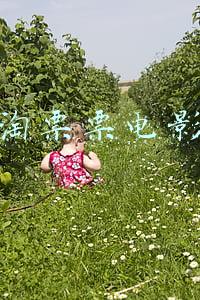 淘票票电影