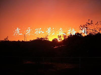 虎牙孤影直播间