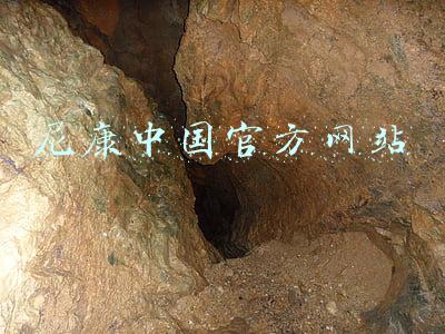 尼康中国官方网站