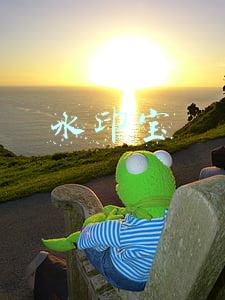 水印宝
