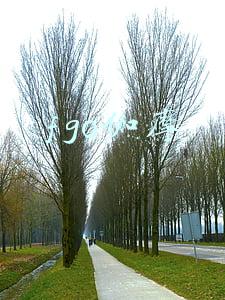 fgo伽摩性别(FGO伽摩落地节奏榜大变动？樱终于亲女儿了一回！)