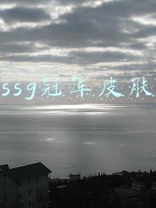 ssg冠军皮肤
