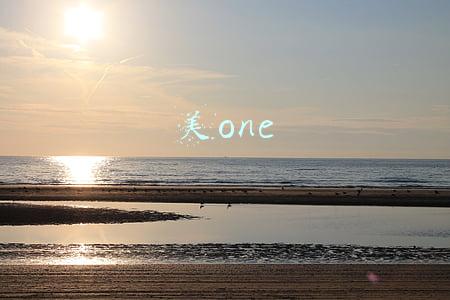美one