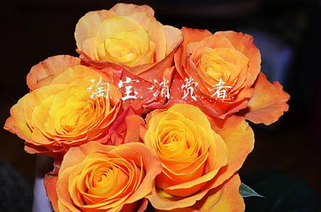 淘宝消费者