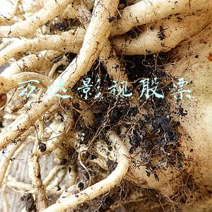 万达影视股票行情(扭亏为盈 万达电影(002739.SZ)预计半年度归母净利润6.2亿元至6.8亿元)