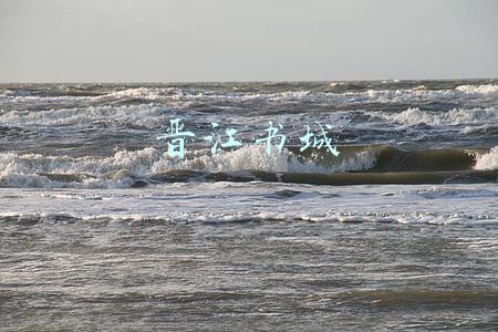 晋江书城怎么关闭夜间模式(看书APP纷纷开始耍流氓？这才是真正的良心产品)