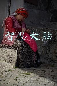 城市智慧大脑(郑州：“智慧大脑”让城市管理开启“云”模式)