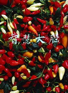 智慧大脑