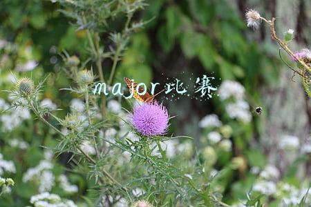 major比赛