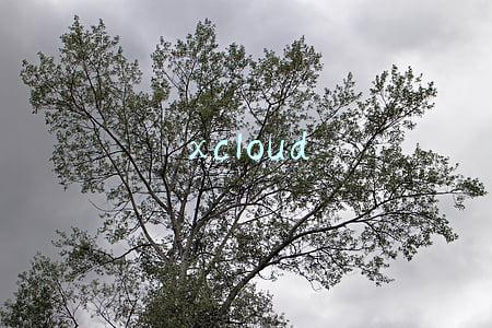 xcloud