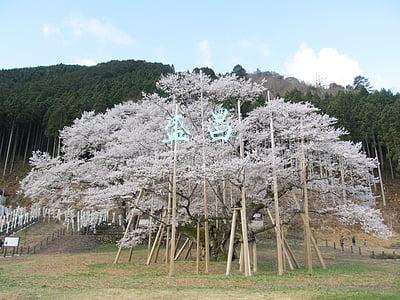 盛昌