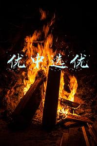优中选优