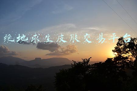 绝地求生皮肤交易平台