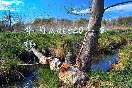 华为mate20怎么样