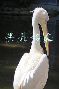 芈月铭文