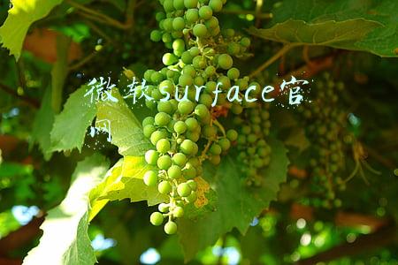 微软surface官网