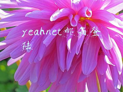 yeahnet邮箱登陆