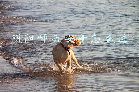 阴阳师雨女十怎么过