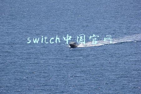 Switch中国官网(任天堂Switch大陆官网正式上线 盗版玩家们这下慌了)