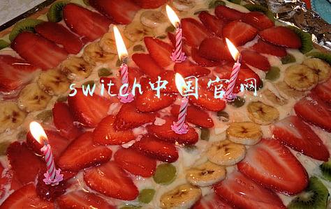 switch中国官网