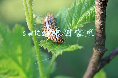 switch中国官网