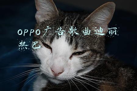 oppo广告歌曲迪丽热巴