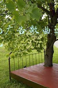 oppo广告歌曲迪丽热巴