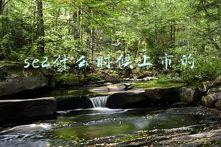 se2什么时候上市的